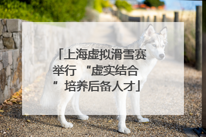 上海虚拟滑雪赛举行 “虚实结合”培养后备人才
