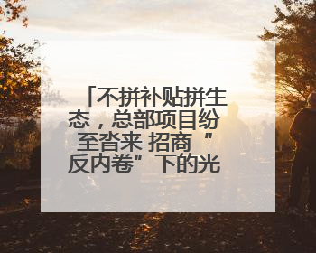 不拼补贴拼生态，总部项目纷至沓来 招商“反内卷”下的光谷之变