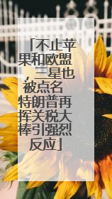 不止苹果和欧盟，三星也被点名 特朗普再挥关税大棒引强烈反应