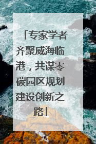 专家学者齐聚威海临港，共谋零碳园区规划建设创新之路