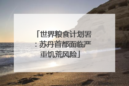 世界粮食计划署：苏丹首都面临严重饥荒风险