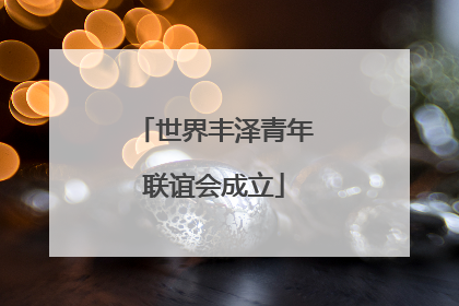 世界丰泽青年联谊会成立