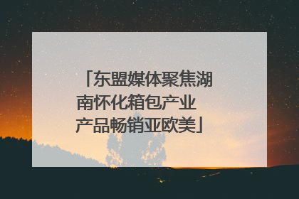 东盟媒体聚焦湖南怀化箱包产业 产品畅销亚欧美