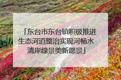 东台市东台镇积极推进生态河道整治实现河畅水清岸绿景美新愿景