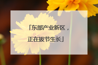 东部产业新区，正在拔节生长
