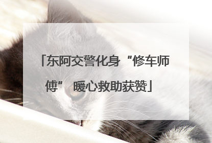东阿交警化身“修车师傅” 暖心救助获赞