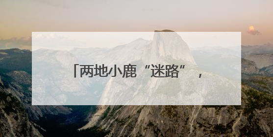 两地小鹿“迷路”，警民携手放归山林