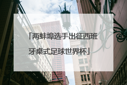 两蚌埠选手出征西班牙桌式足球世界杯