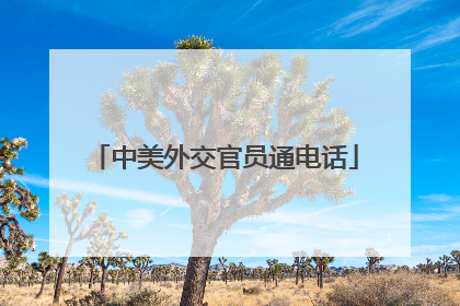 中美外交官员通电话
