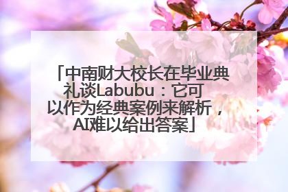 中南财大校长在毕业典礼谈Labubu：它可以作为经典案例来解析，AI难以给出答案