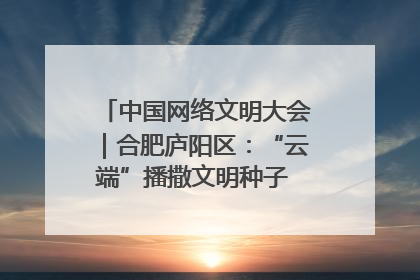 中国网络文明大会｜合肥庐阳区：“云端”播撒文明种子 共建清朗网络空间