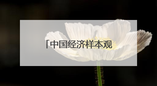 中国经济样本观察·“镇”了不起｜为衣做架，“挂”出来的80亿元“衣架产业”
