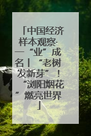 中国经济样本观察·一“业”成名丨“老树发新芽”！“浏阳烟花”燃亮世界