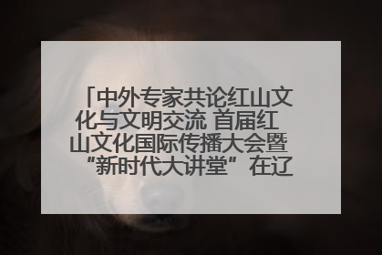中外专家共论红山文化与文明交流 首届红山文化国际传播大会暨“新时代大讲堂”在辽宁朝阳举办