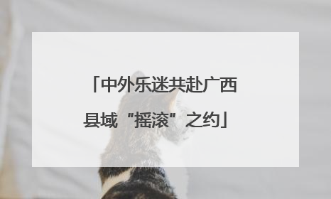 中外乐迷共赴广西县域“摇滚”之约