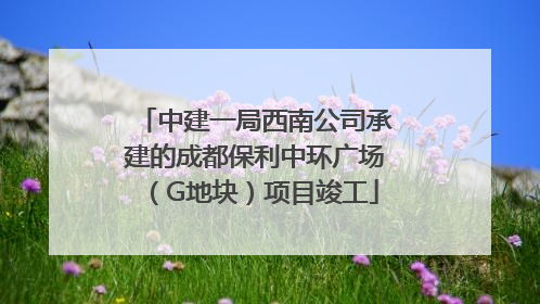 中建一局西南公司承建的成都保利中环广场（G地块）项目竣工