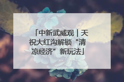 中新武威观｜天祝大红沟解锁“清凉经济”新玩法