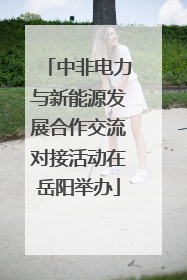 中非电力与新能源发展合作交流对接活动在岳阳举办