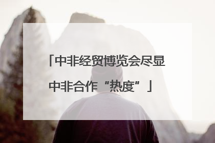 中非经贸博览会尽显中非合作“热度”