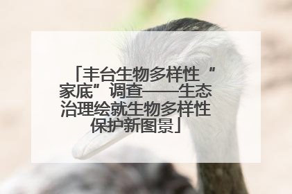 丰台生物多样性“家底”调查——生态治理绘就生物多样性保护新图景