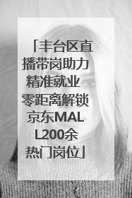 丰台区直播带岗助力精准就业 零距离解锁京东MALL200余热门岗位