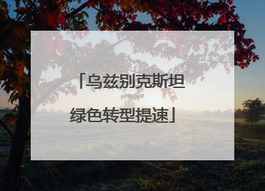乌兹别克斯坦绿色转型提速