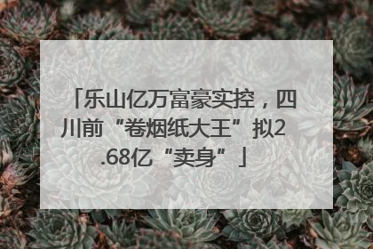 乐山亿万富豪实控，四川前“卷烟纸大王”拟2.68亿“卖身”