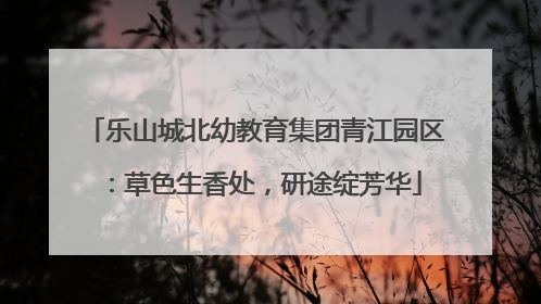 乐山城北幼教育集团青江园区：草色生香处，研途绽芳华