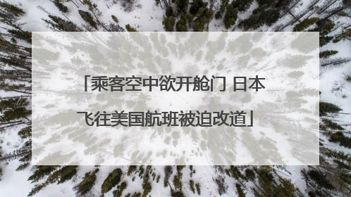 乘客空中欲开舱门 日本飞往美国航班被迫改道