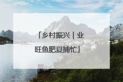 乡村振兴｜业旺鱼肥夏捕忙