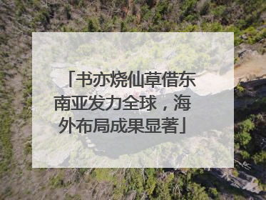 书亦烧仙草借东南亚发力全球，海外布局成果显著