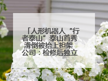 人形机器人“行者泰山”泰山首秀滑倒被抬上担架 公司：检修后独立下山 测试就是为暴露问题