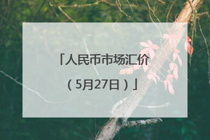 人民币市场汇价（5月27日）