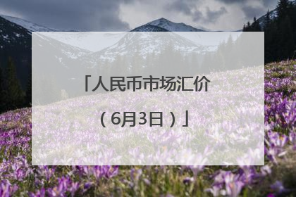 人民币市场汇价（6月3日）