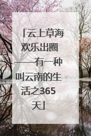 云上草海 欢乐出圈——有一种叫云南的生活之365天