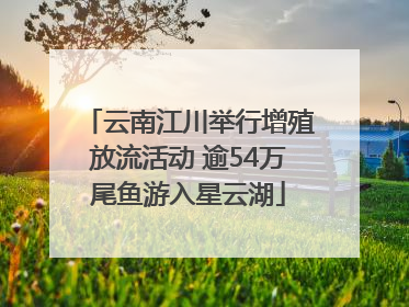 云南江川举行增殖放流活动 逾54万尾鱼游入星云湖