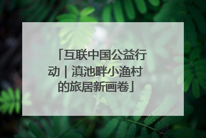 互联中国公益行动｜滇池畔小渔村的旅居新画卷