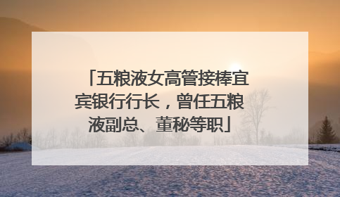五粮液女高管接棒宜宾银行行长，曾任五粮液副总、董秘等职