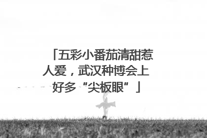 五彩小番茄清甜惹人爱，武汉种博会上好多“尖板眼”