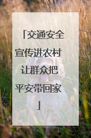 交通安全宣传进农村 让群众把平安带回家