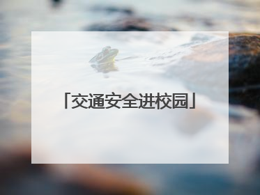 交通安全进校园