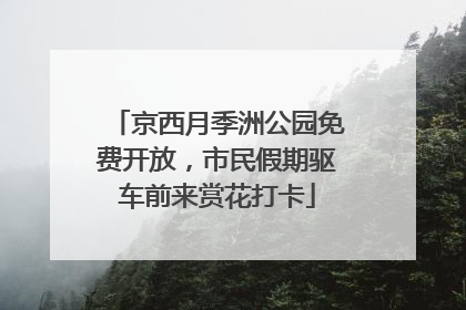 京西月季洲公园免费开放，市民假期驱车前来赏花打卡