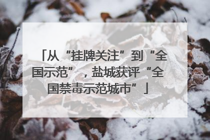 从“挂牌关注”到“全国示范”，盐城获评“全国禁毒示范城市”