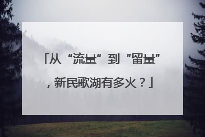 从“流量”到“留量”，新民歌湖有多火？