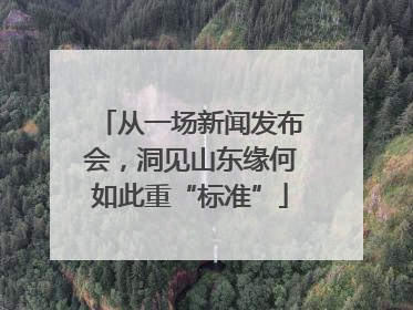 从一场新闻发布会，洞见山东缘何如此重“标准”