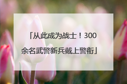 从此成为战士！300余名武警新兵戴上警衔