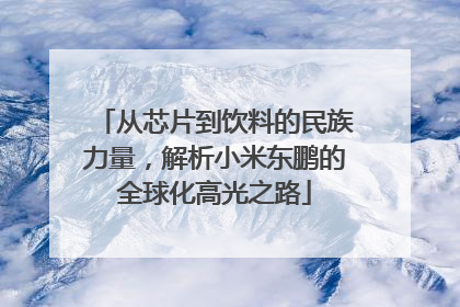 从芯片到饮料的民族力量，解析小米东鹏的全球化高光之路