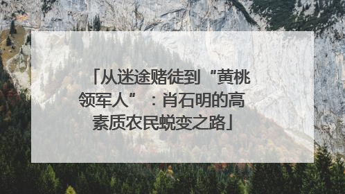 从迷途赌徒到“黄桃领军人”：肖石明的高素质农民蜕变之路