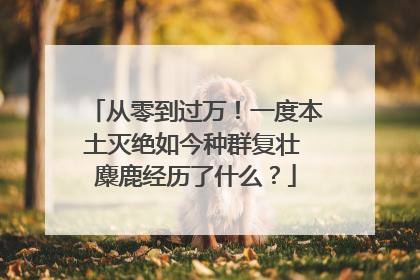 从零到过万！一度本土灭绝如今种群复壮 麋鹿经历了什么？