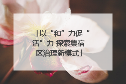 以“和”力促“活”力 探索集宿区治理新模式